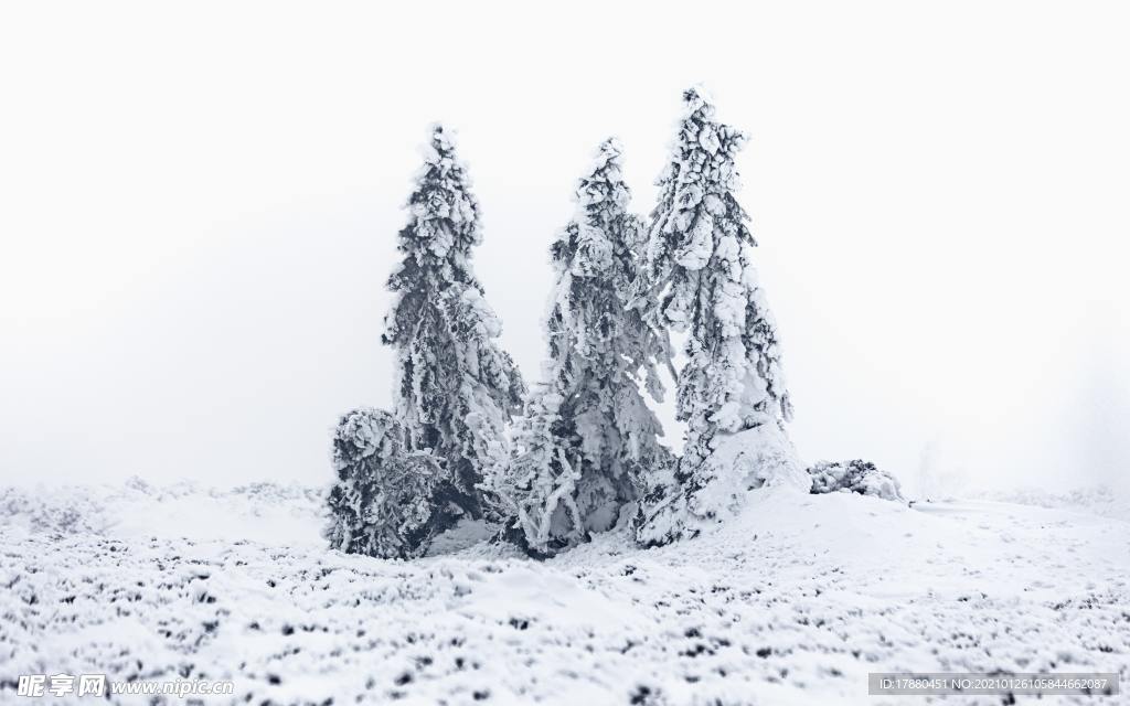 山林