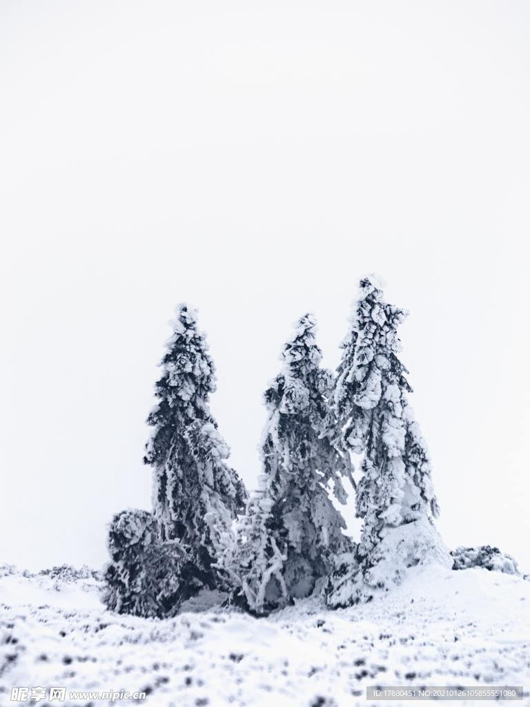 山林