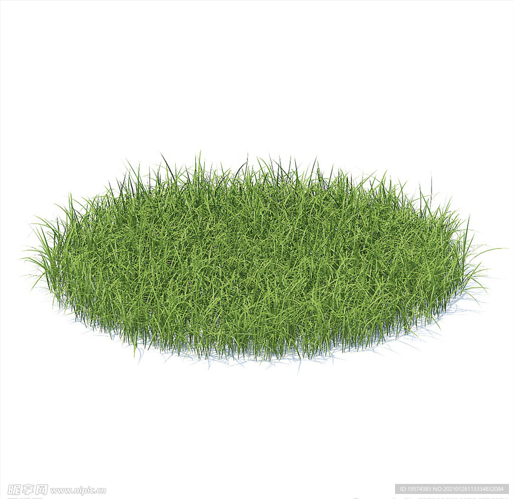 C4D模型 草地草坪