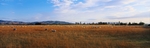 高清横版风景