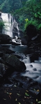 风景