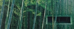 广角风景