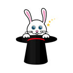 魔术兔