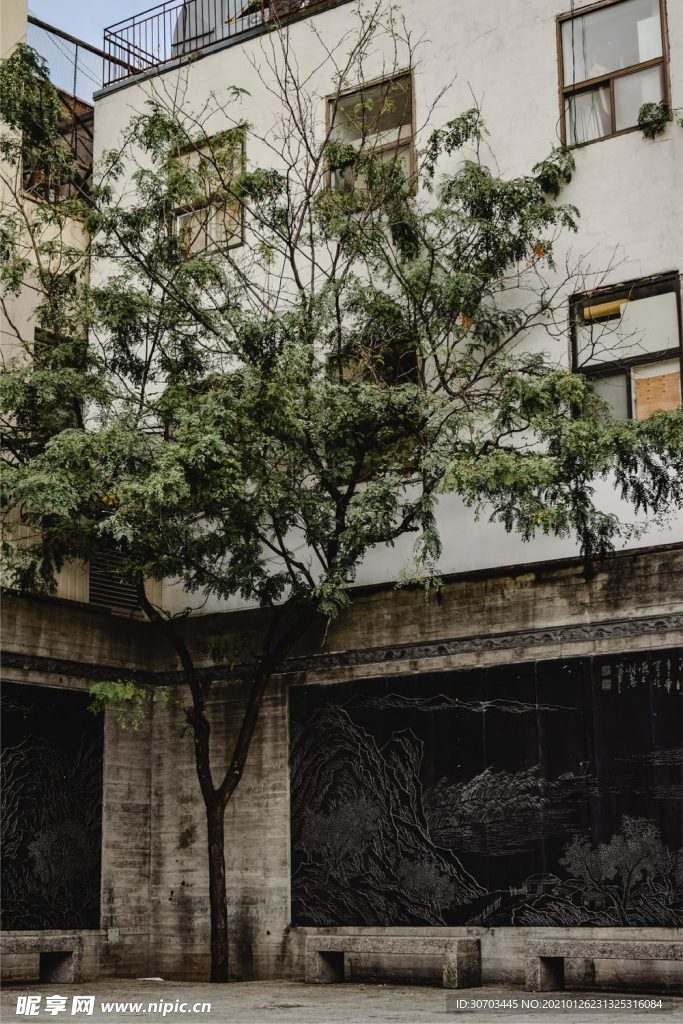 树