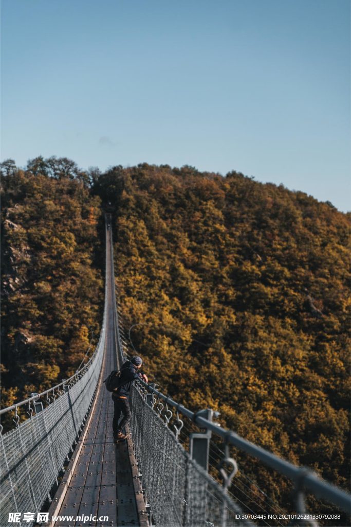 树