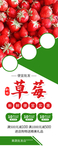 草莓
