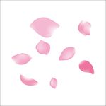 花瓣矢量
