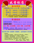 收费标准