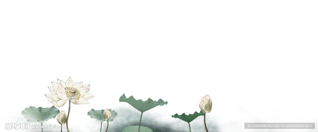 荷