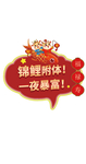 锦鲤附体