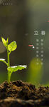 立春节气海报