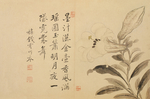 恽寿平国画 洒金玉兰