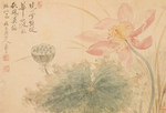 恽寿平国画 出水芙蓉