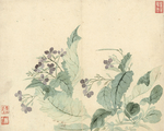 恽寿平国画 海棠花