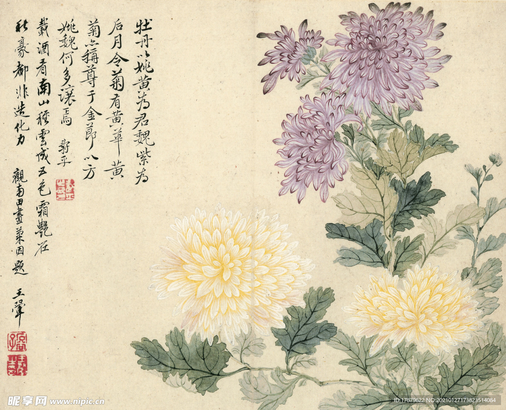 恽寿平国画 菊花