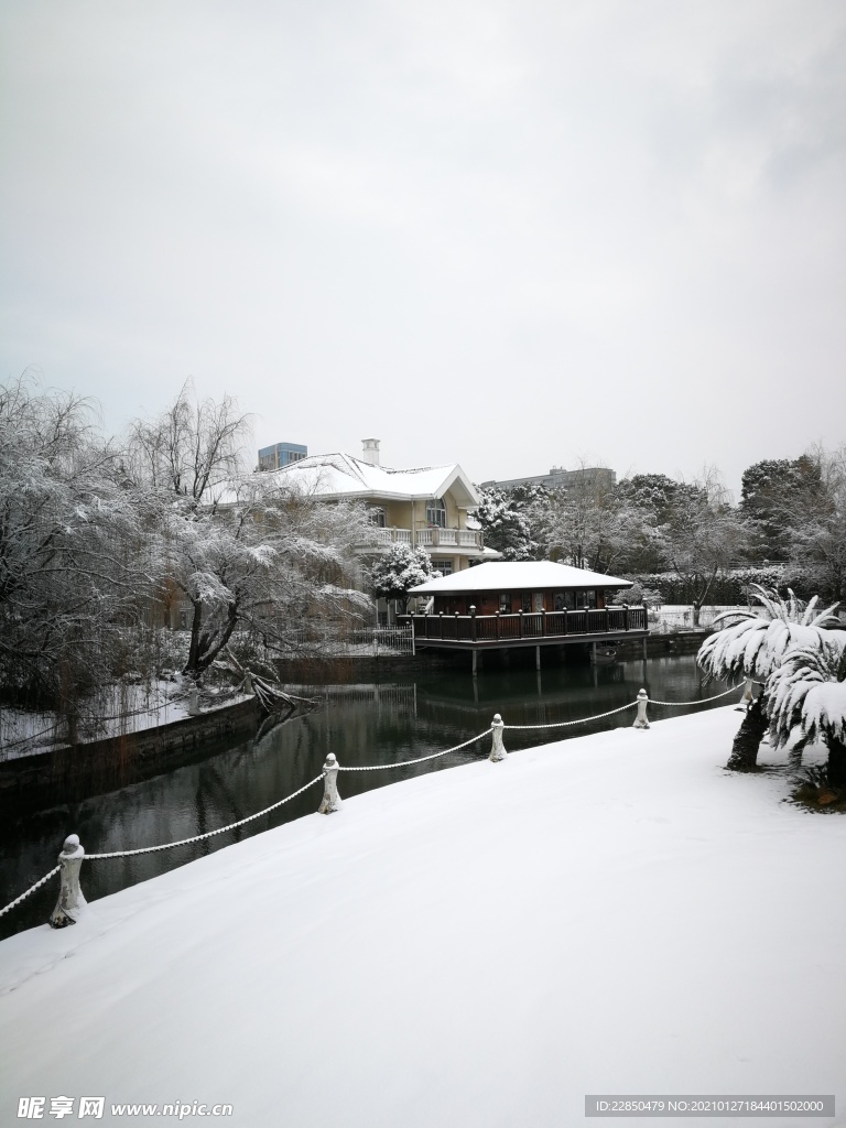 雪景