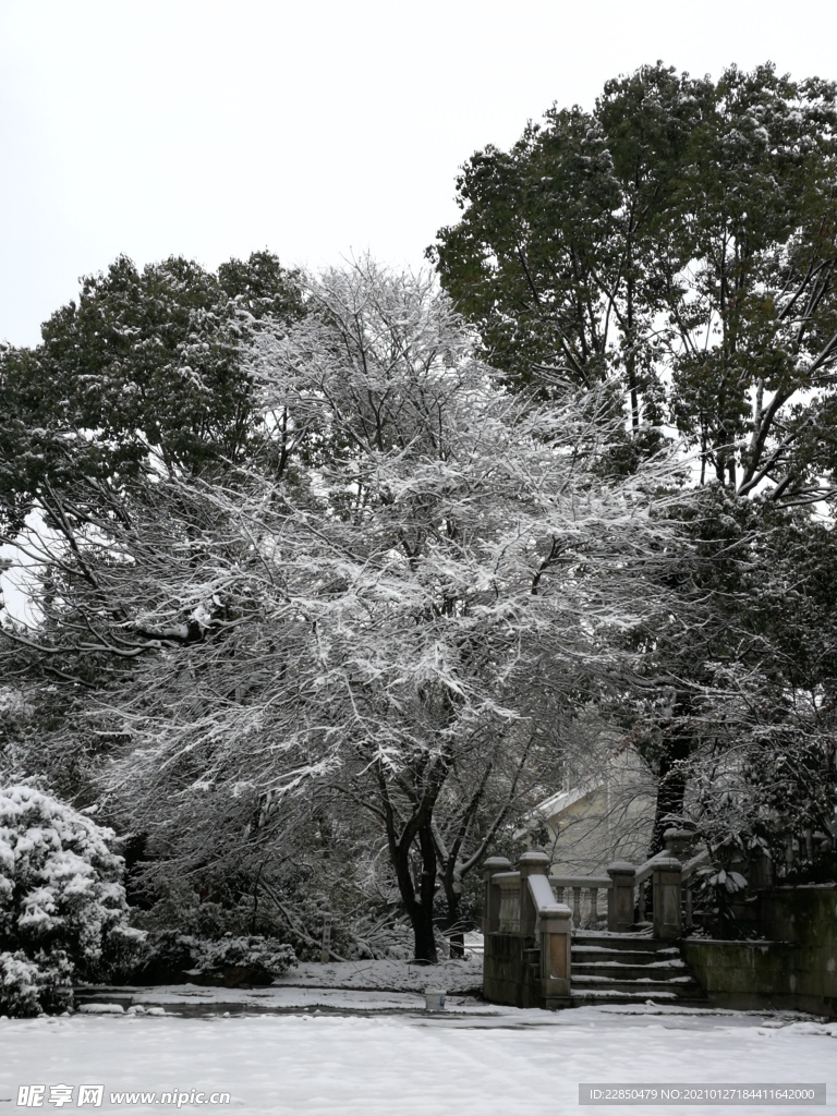 雪景