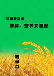 米机贴图