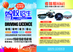 驾校招生
