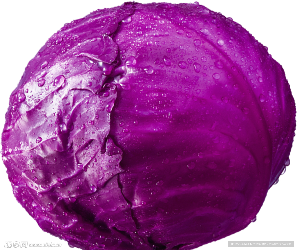 紫包菜图片素材-编号28606747-图行天下