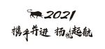 扬帆起航