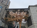 重庆旅游