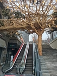 弹子石老街街景