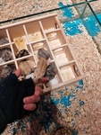 仓鼠