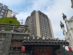 公园鸽子