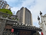公园鸽子