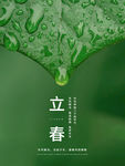 立春