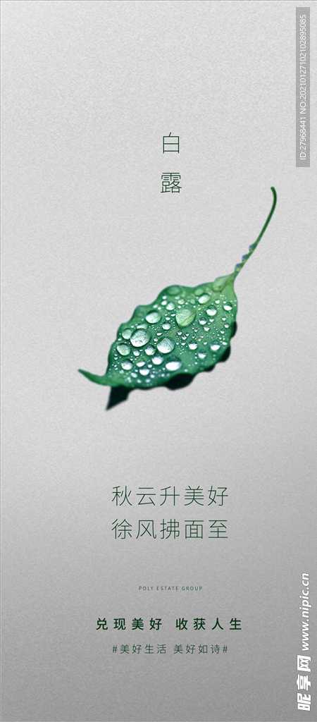 白露