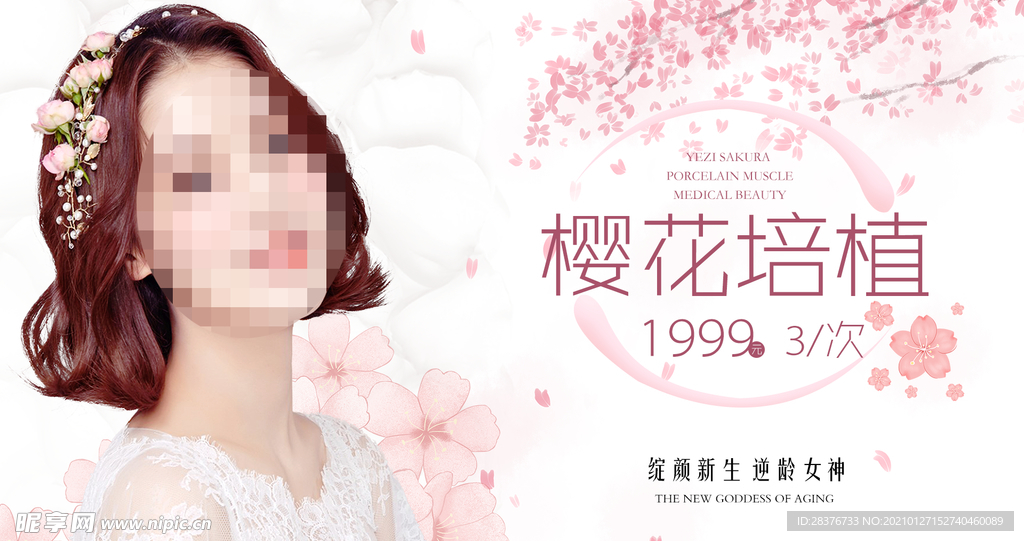 樱花培植