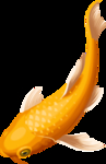 新年