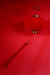 新年