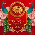 新年