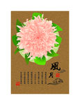 牡丹花海报