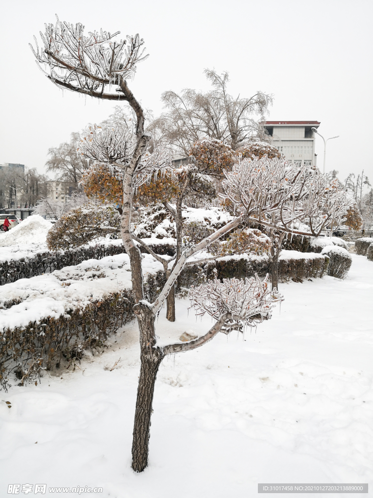 南湖雪景