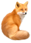 狐狸