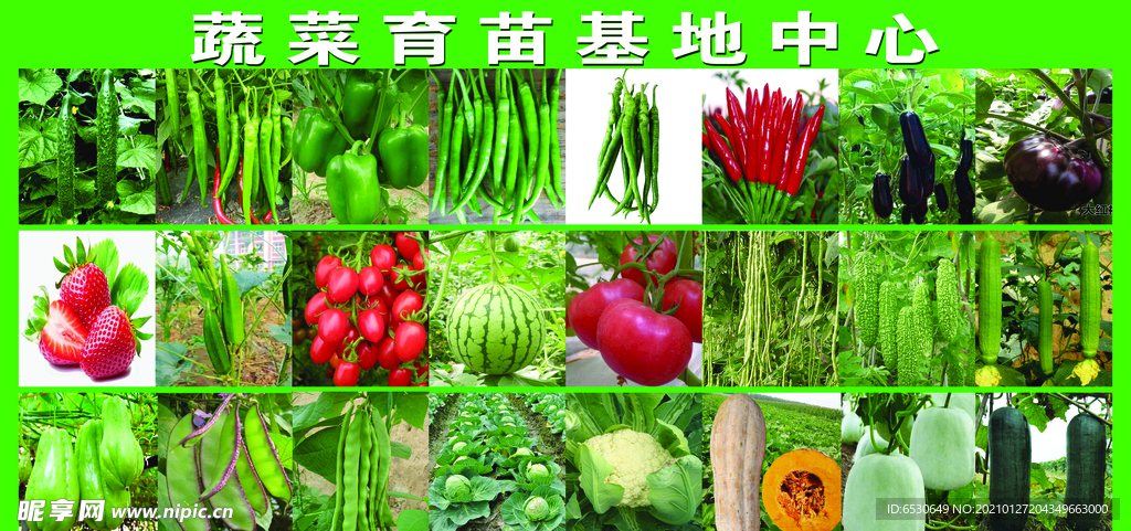 蔬菜 图片