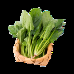 绿色蔬菜