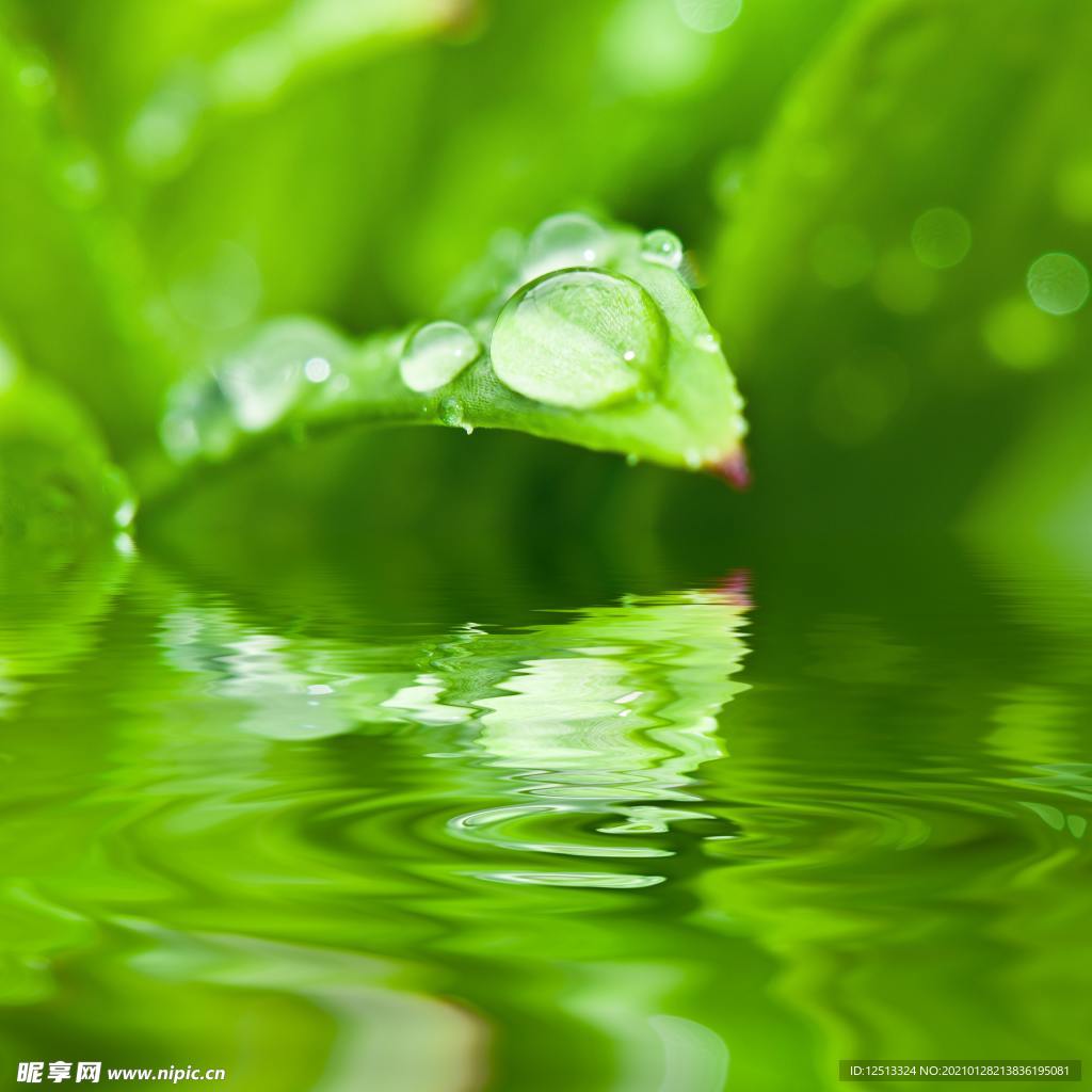 水珠