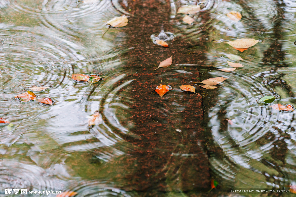 雨水