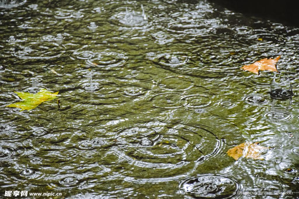 雨水