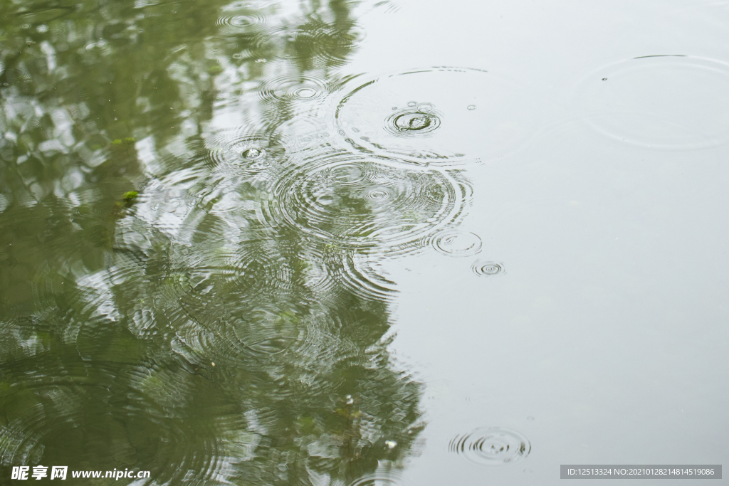 雨水