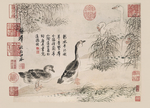 恽寿平国画 黑白鹅