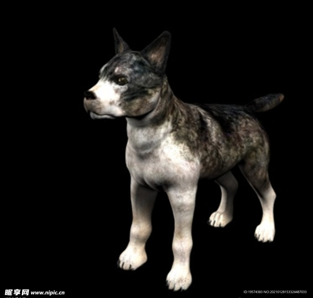 C4D模型 黑色狼犬