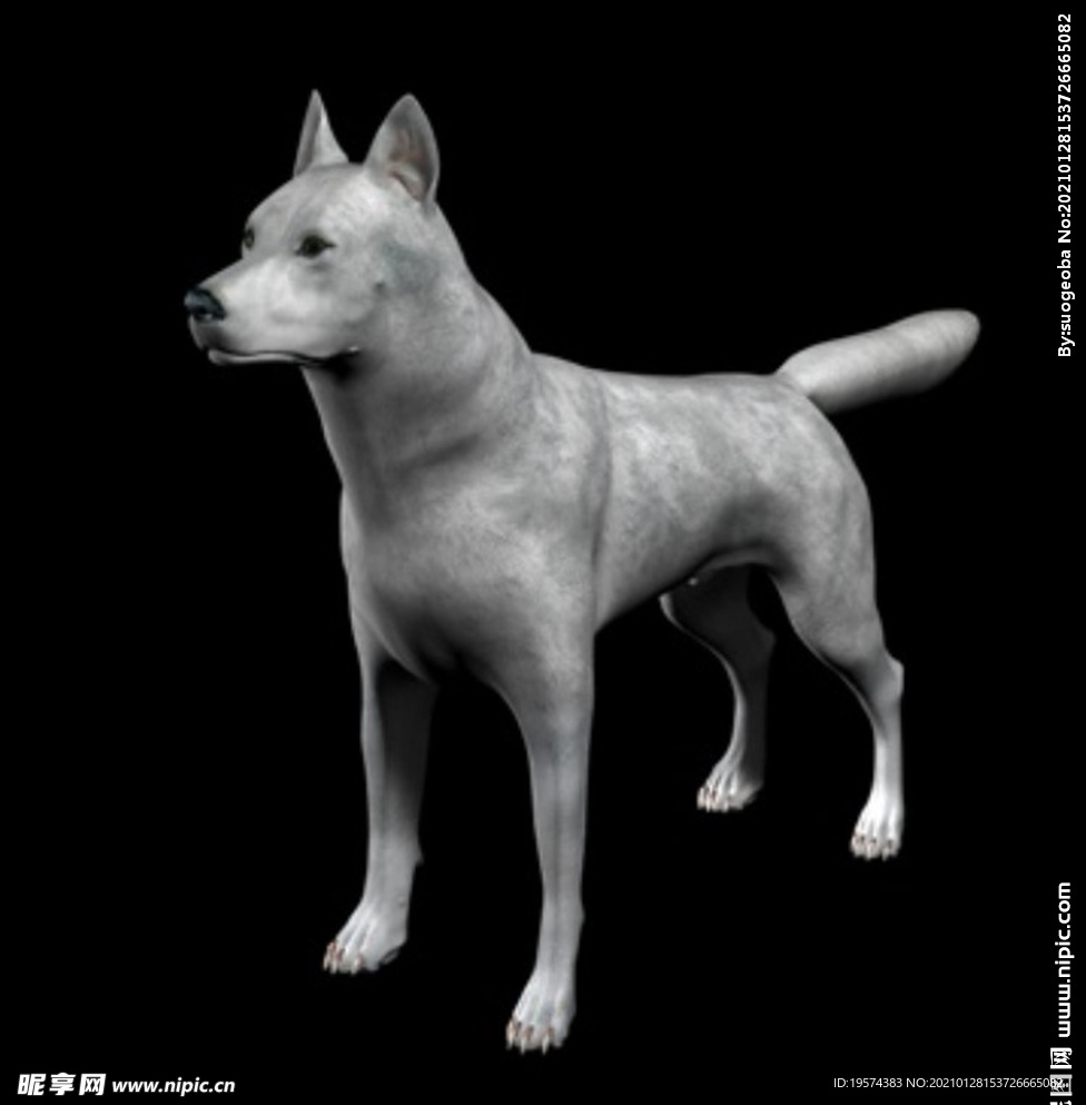 C4D模型 黑色狼犬