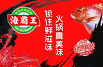 海霸王冰柜贴侧面