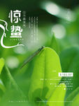 惊蛰